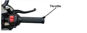 Throttle twist grip