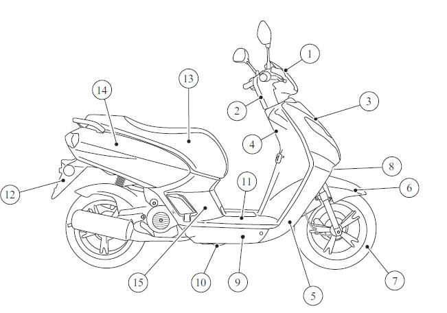 Location of body components