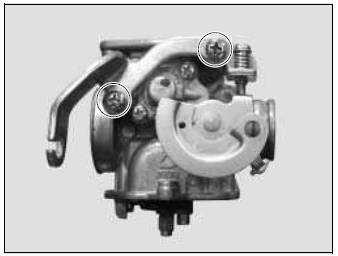 Removal of the engine speed adjuster screw and mixture control screw