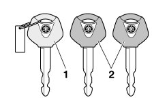 Immobilizer system