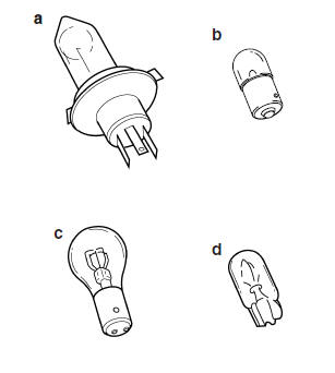 Types of bulbs