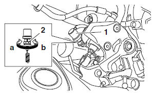 Adjusting the rear brake light switch