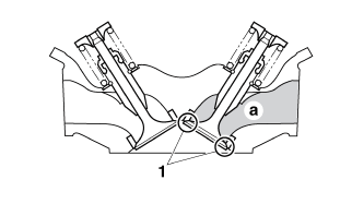 Removing the valves