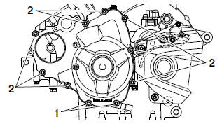 Installing the generator