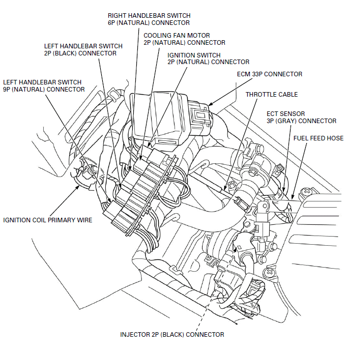 General Information