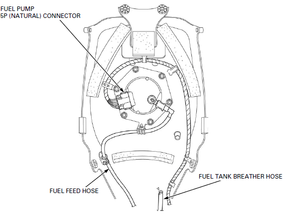 General Information