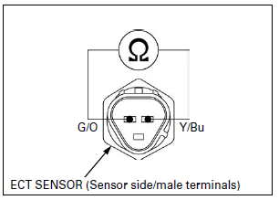 Fuel System (PGM-FI)