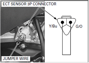 Fuel System (PGM-FI)