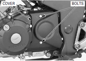 Alternator/Starter Clutch