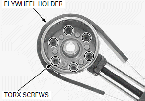 Alternator/Starter Clutch